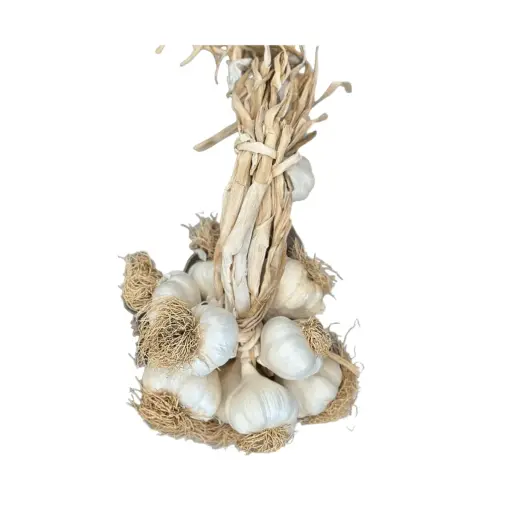 Duble Boy Taşköprü Sarımsak